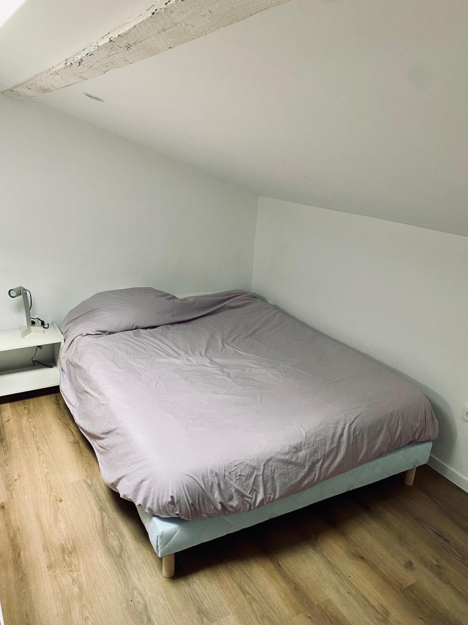 L'Echappee Belle D'Albi Appartement Buitenkant foto